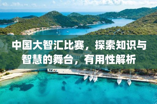 中國大智匯比賽，探索知識(shí)與智慧的舞臺(tái)，有用性解析