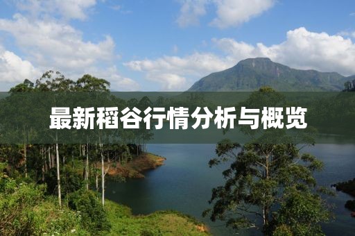 最新稻谷行情分析與概覽