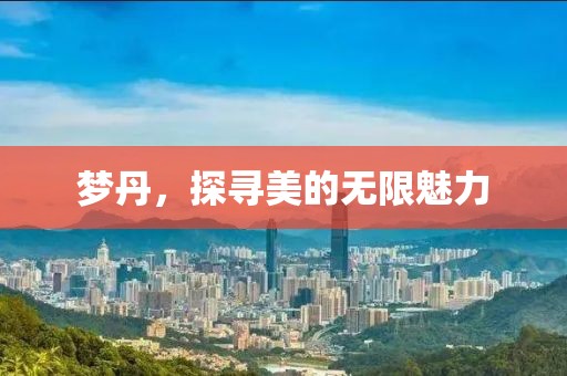 夢丹，探尋美的無限魅力
