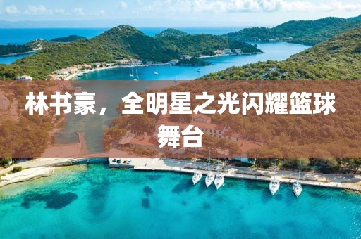 林書(shū)豪，全明星之光閃耀籃球舞臺(tái)