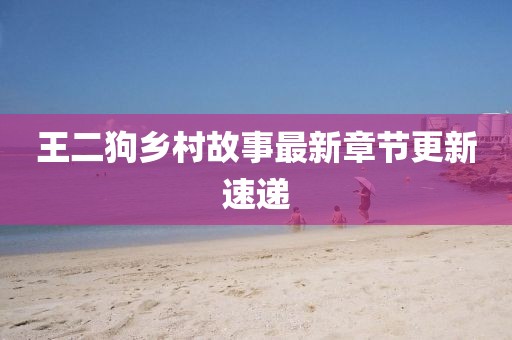 王二狗鄉(xiāng)村故事最新章節(jié)更新速遞