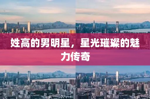姓高的男明星，星光璀璨的魅力傳奇