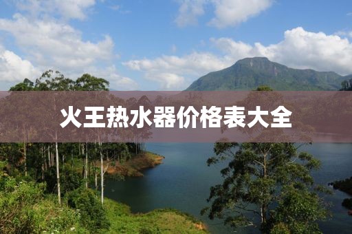 火王熱水器價格表大全