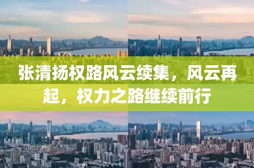 張清揚權(quán)路風(fēng)云續(xù)集，風(fēng)云再起，權(quán)力之路繼續(xù)前行