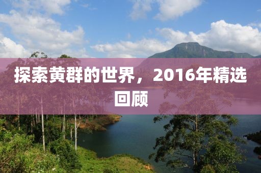 探索黃群的世界，2016年精選回顧