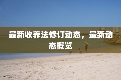 最新收養(yǎng)法修訂動態(tài)，最新動態(tài)概覽