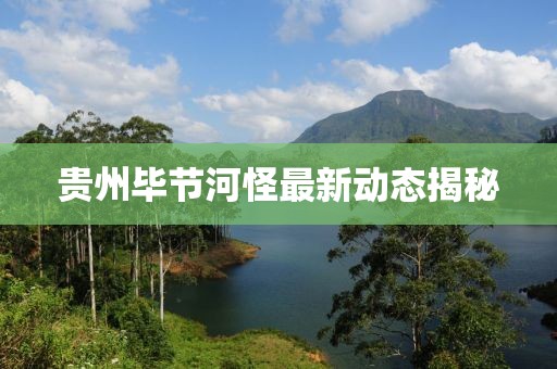 貴州畢節(jié)河怪最新動態(tài)揭秘