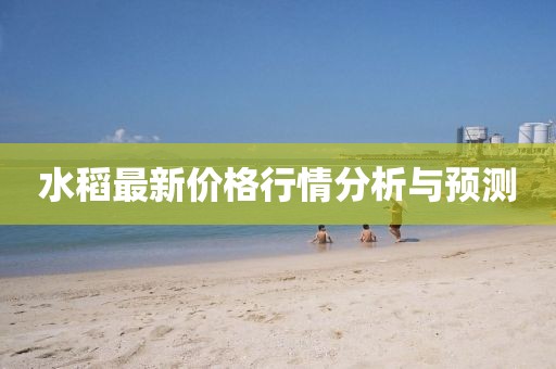 水稻最新價格行情分析與預(yù)測