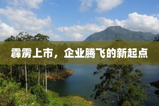 霹靂上市，企業(yè)騰飛的新起點(diǎn)