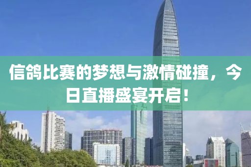 信鴿比賽的夢(mèng)想與激情碰撞，今日直播盛宴開啟！