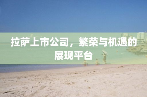 拉薩上市公司，繁榮與機(jī)遇的展現(xiàn)平臺