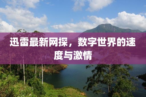 迅雷最新網(wǎng)探，數(shù)字世界的速度與激情