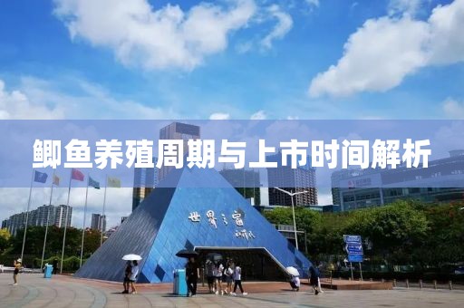 鯽魚養(yǎng)殖周期與上市時(shí)間解析