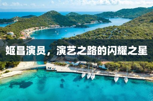姬昌演員，演藝之路的閃耀之星