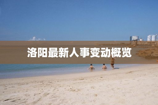 洛陽最新人事變動概覽