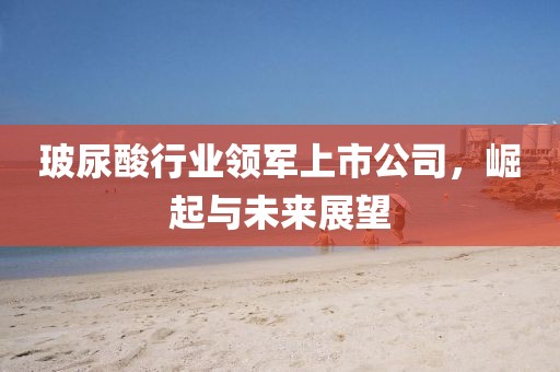 微笑下的憂傷 第2頁