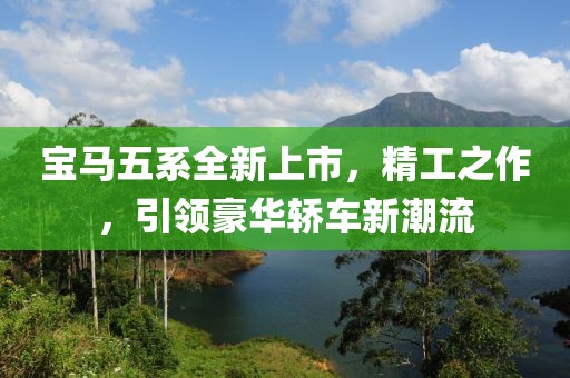 寶馬五系全新上市，精工之作，引領(lǐng)豪華轎車新潮流