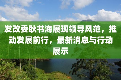 發(fā)改委耿書海展現(xiàn)領(lǐng)導(dǎo)風(fēng)范，推動發(fā)展前行，最新消息與行動展示