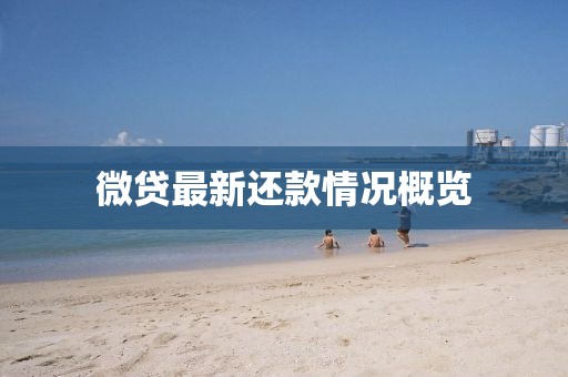 微貸最新還款情況概覽