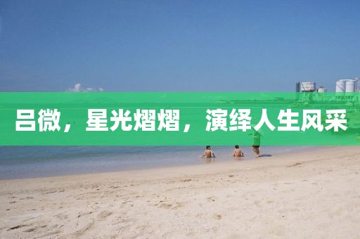 呂微，星光熠熠，演繹人生風(fēng)采