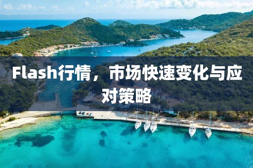 Flash行情，市場快速變化與應(yīng)對策略
