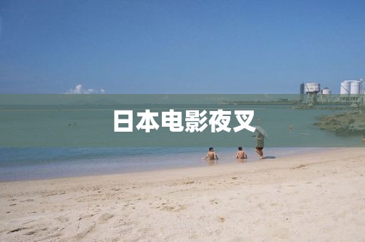 日本電影夜叉