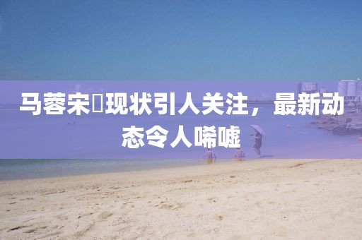 馬蓉宋喆現(xiàn)狀引人關(guān)注，最新動態(tài)令人唏噓