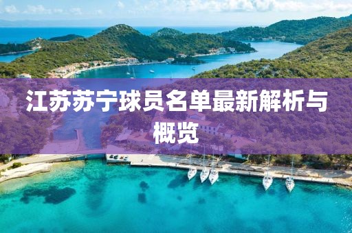 江蘇蘇寧球員名單最新解析與概覽