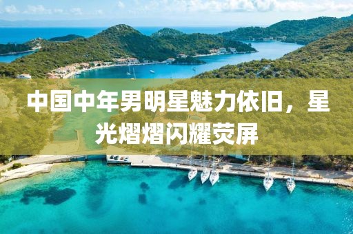 中國中年男明星魅力依舊，星光熠熠閃耀熒屏
