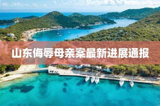 山東侮辱母親案最新進展通報