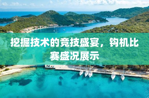 挖掘技術(shù)的競(jìng)技盛宴，鉤機(jī)比賽盛況展示