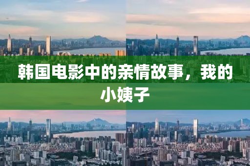 韓國(guó)電影中的親情故事，我的小姨子