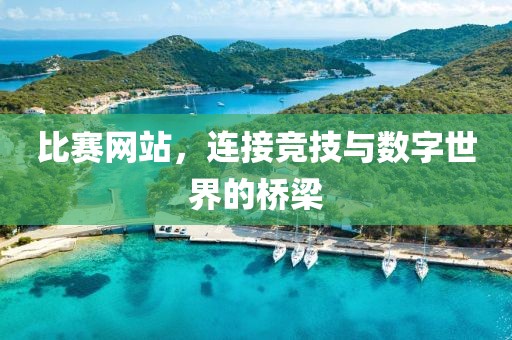 比賽網(wǎng)站，連接競技與數(shù)字世界的橋梁