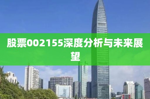 股票002155深度分析與未來展望