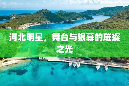 河北明星，舞臺(tái)與銀幕的璀璨之光