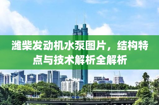 濰柴發(fā)動(dòng)機(jī)水泵圖片，結(jié)構(gòu)特點(diǎn)與技術(shù)解析全解析