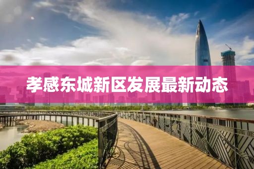 孝感東城新區(qū)發(fā)展最新動態(tài)