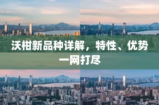 沃柑新品種詳解，特性、優(yōu)勢一網(wǎng)打盡