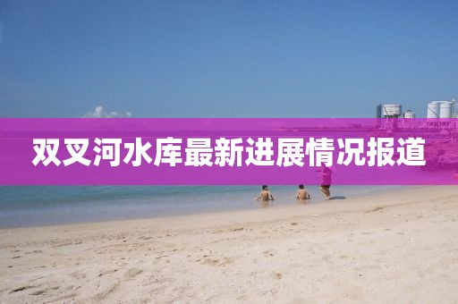 雙叉河水庫(kù)最新進(jìn)展情況報(bào)道