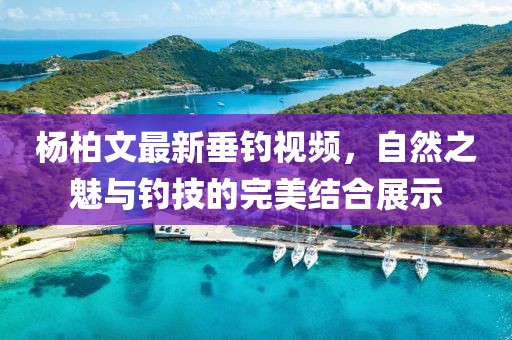楊柏文最新垂釣視頻，自然之魅與釣技的完美結合展示