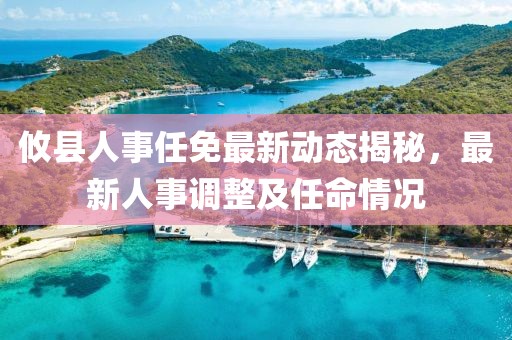 攸縣人事任免最新動態(tài)揭秘，最新人事調(diào)整及任命情況