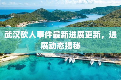 武漢砍人事件最新進展更新，進展動態(tài)揭秘