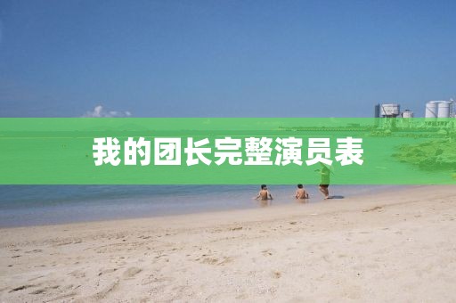我的團(tuán)長完整演員表