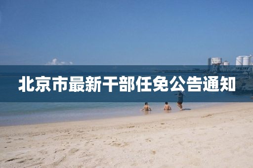 北京市最新干部任免公告通知