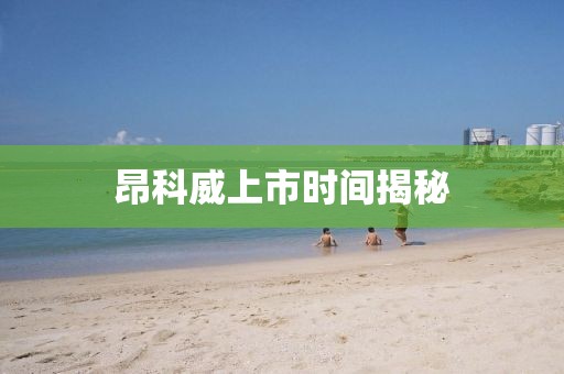 昂科威上市時間揭秘