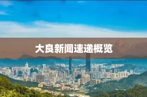 大良新聞速遞概覽