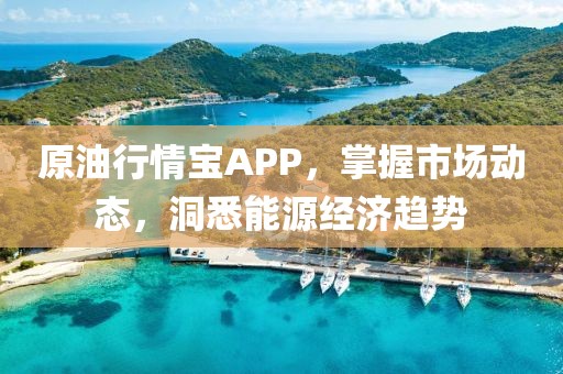 原油行情寶APP，掌握市場動態(tài)，洞悉能源經(jīng)濟趨勢