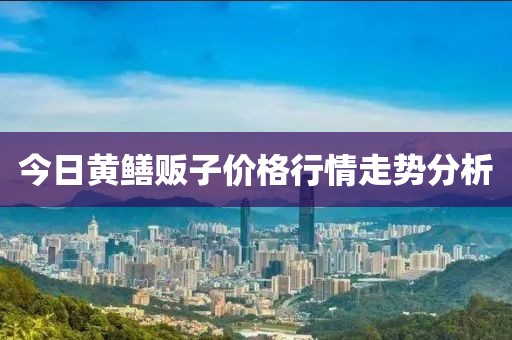 今日黃鱔販子價格行情走勢分析