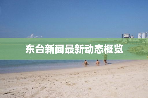 東臺(tái)新聞最新動(dòng)態(tài)概覽
