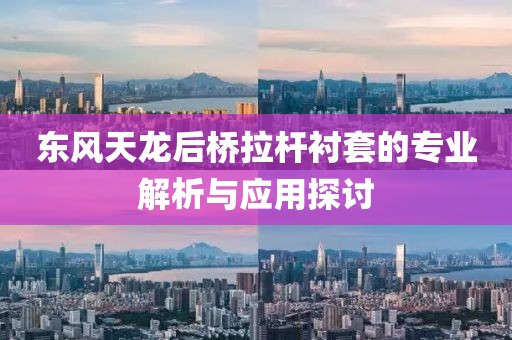 東風(fēng)天龍后橋拉桿襯套的專業(yè)解析與應(yīng)用探討
